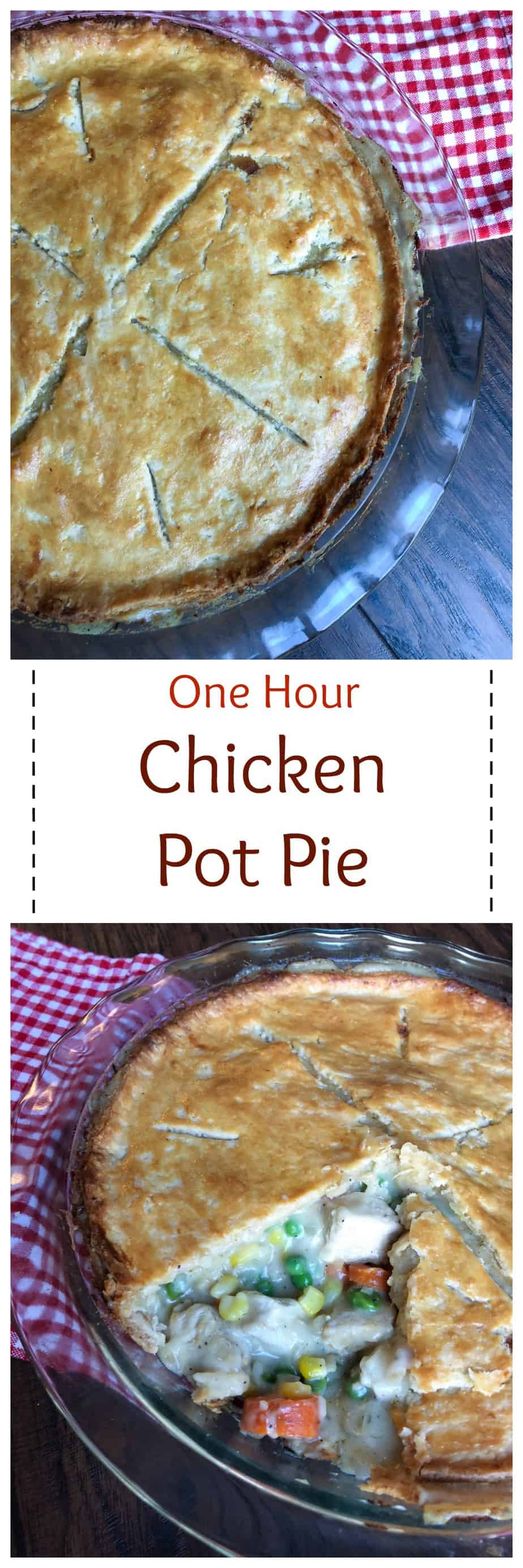 One Hour Chicken Pot Pie